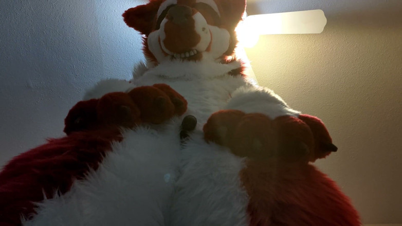 PawgrammerSocks: Furry in Full-body Fursuit Pisses on You, Then Cums Over...