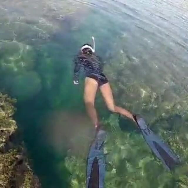 creamberryfairy: Ima sirena