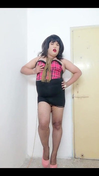 Sissy House - 3151633230