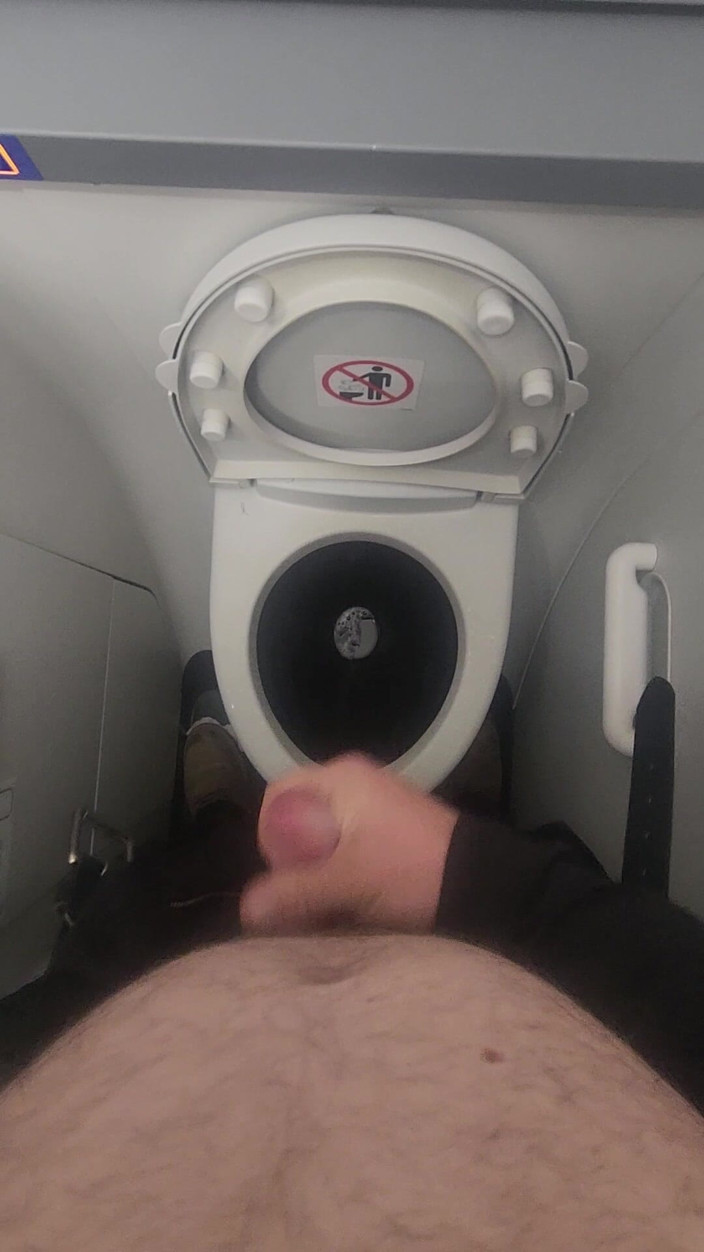 Djk31314: Airplane Bathroom Jerk and Cum.