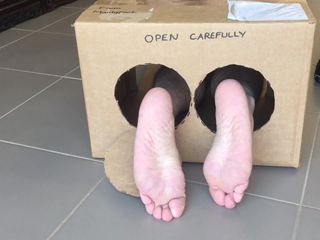 Manly foot: Surprise Delivery Series - meias de cama listradas grandes pés machos...