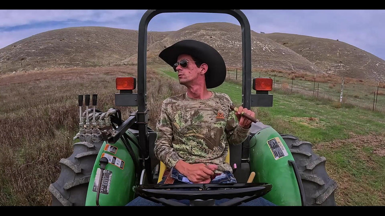 Joe Iandola: 당신은 색상 정지를 좋아합니까?