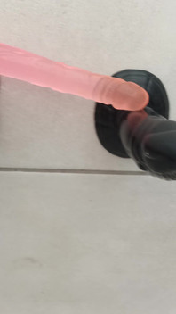 Tasting All Sizes, Colors and Flavors