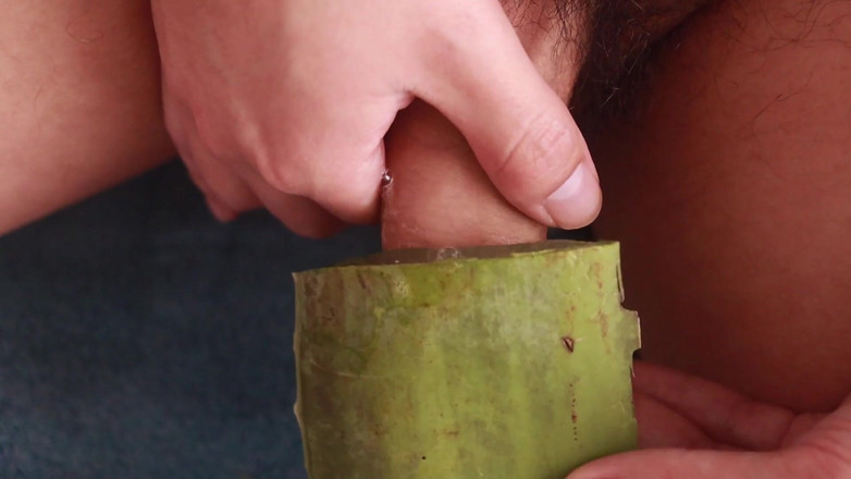 MGEc21: Szarpanie z Aloe Vera