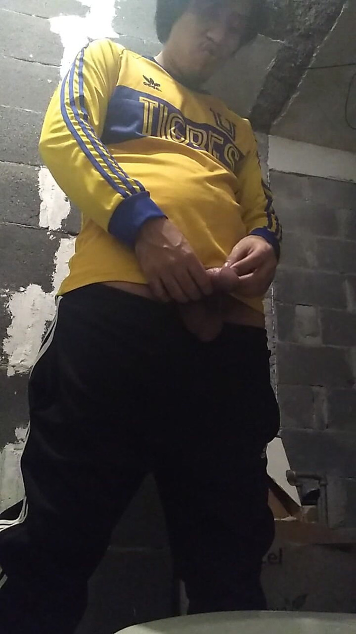 AlexAlejandro13: Uma Meada no Banheiro
