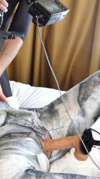 Nora Fox Wolf Zentai omkastingsmachine
