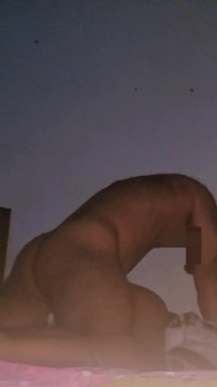 处女德西继妹狗式
