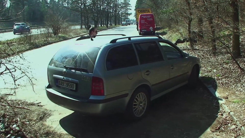 Public Entertainment: Amateur couple fucking on a highway