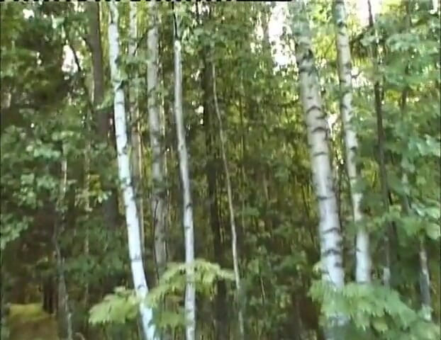 Radical: Hot teen fucked in nature