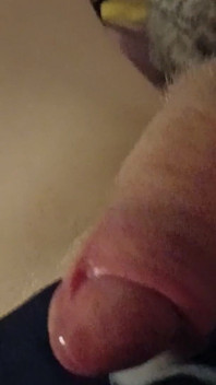 Jerking My Cock and Cum