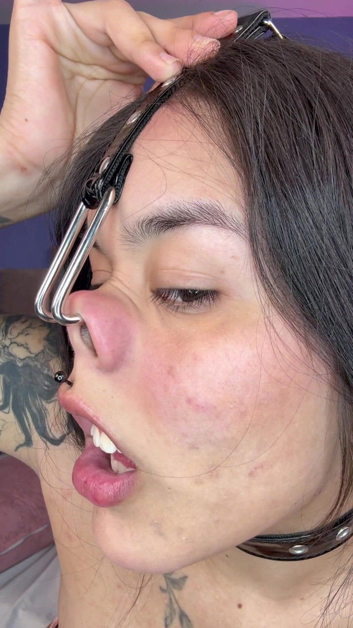 Rollerpublic: Turned in to Piggy