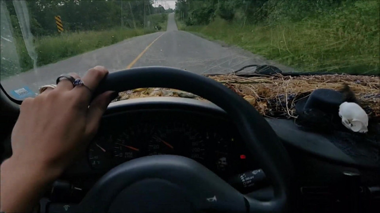 Robin Coffins: Penumpang gelap