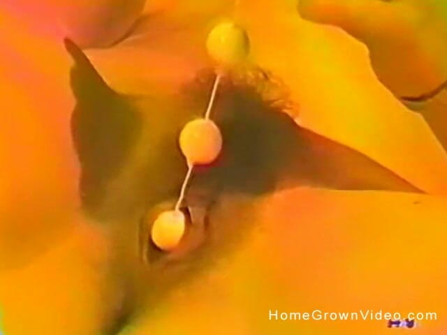 Homegrown Vintage: Self Double Penetration with Her Toys