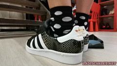 Lady Scarlet: Lady Scarlet - 으깬 상자