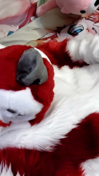 Szarpanie i pokazywanie footpaws w fursuit na całe ciało