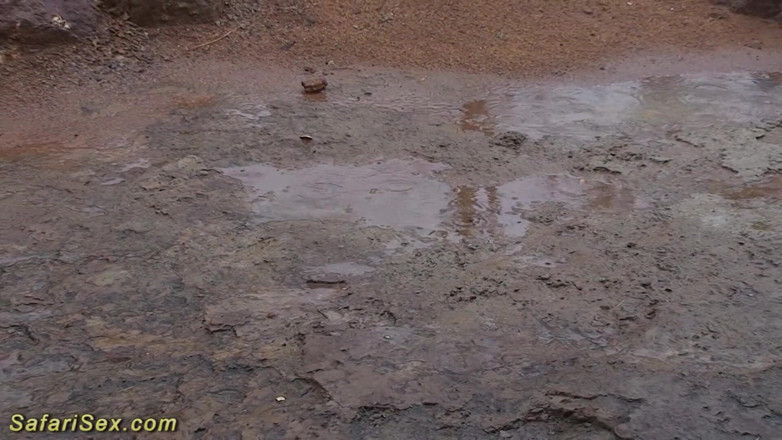 Safari sex: Extrémní sex s horkou africkou hospodyňkou