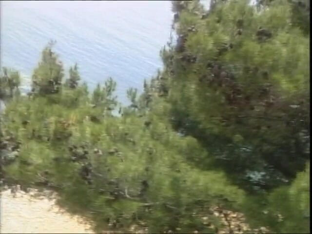 Fetish Desire: Wild girl coming from the woods has craving for cock