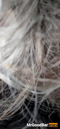A Little Head 1
