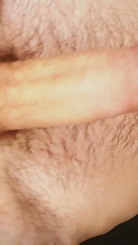 Will You Suck My Hairy Balls?