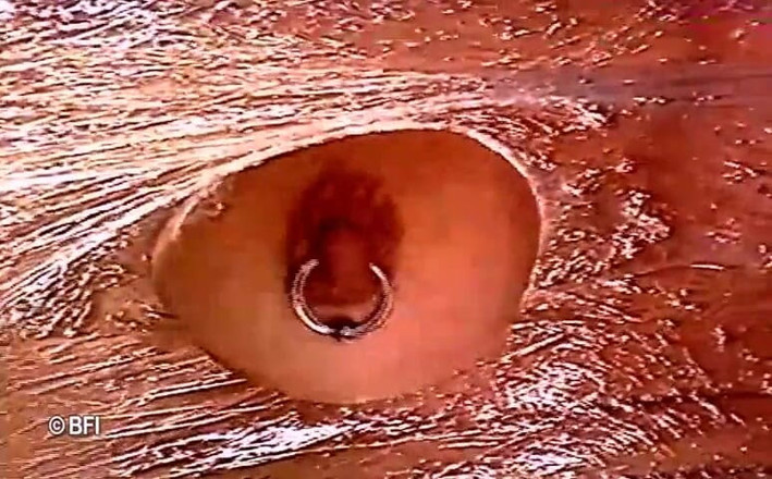 Hardcore slave sex: 복종하는 미시 마누라를 위한 꿈.