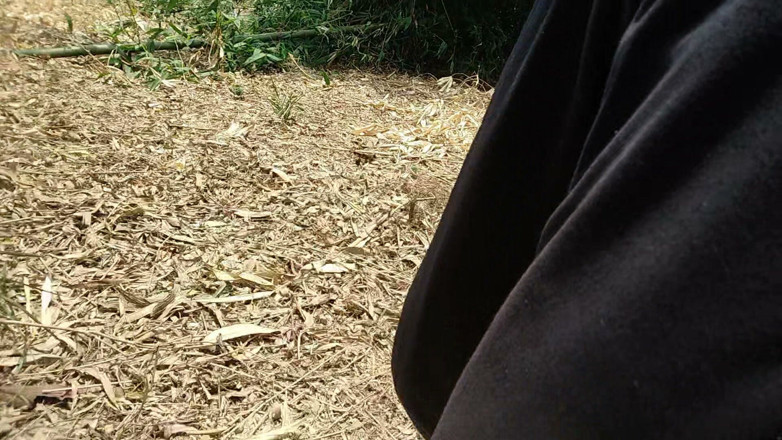 DesiDarkArt: Semasa berkeliaran di padang, dia mula memukul gagangnya