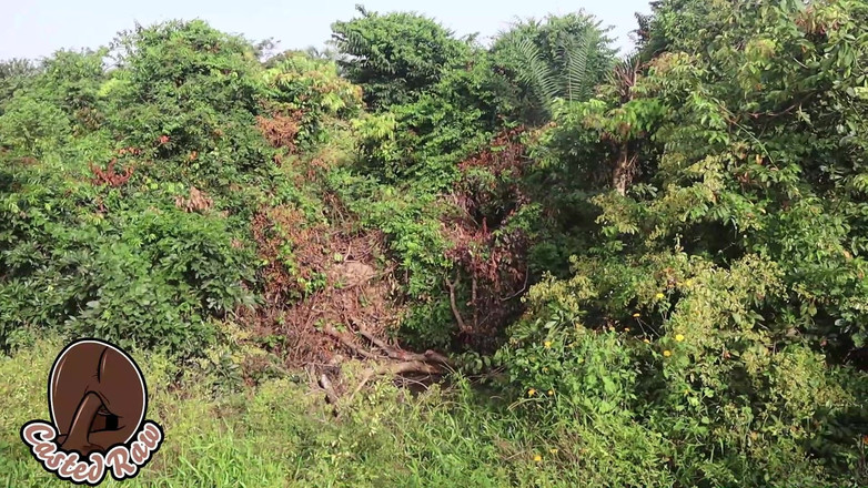 Castedraw: Bts Adigun och bönderna fru