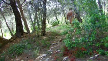 Radical: Rough forest amateurs