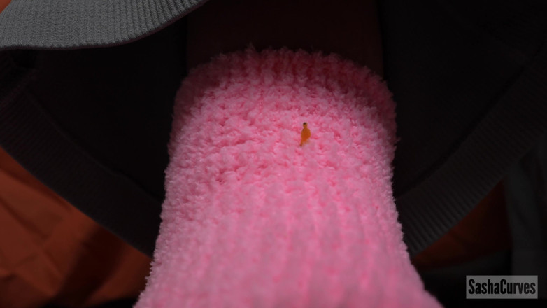 Sasha Curves: Stuck to Giantess Step-stepmom's Socks