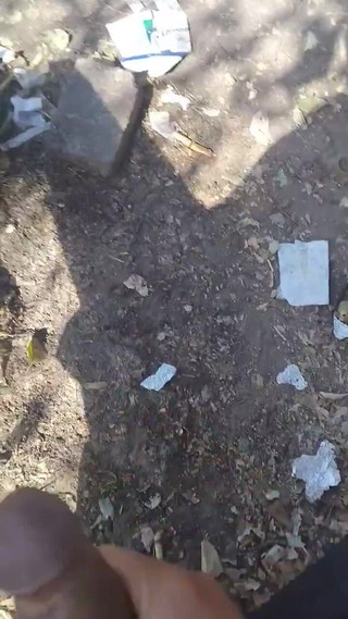 Rex Bitchington Blade: Fun Outside