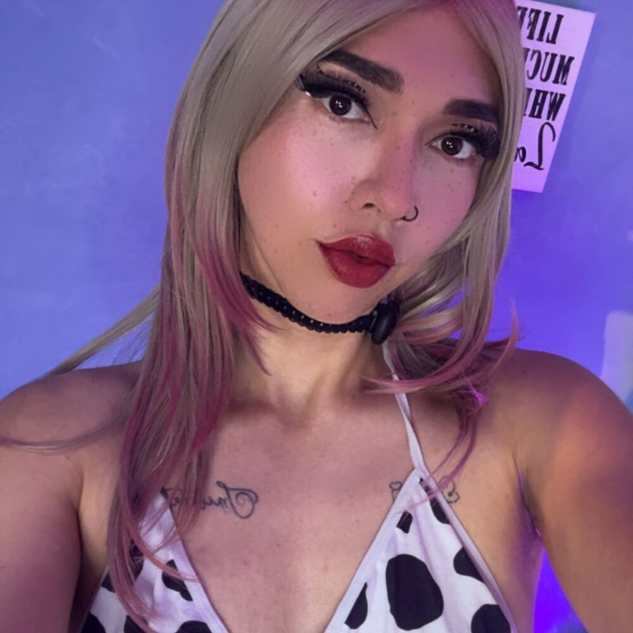 Faphouse