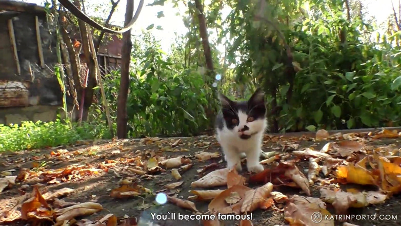 Katrin Porto: BBWの毛むくじゃらの猫の放尿とカミング