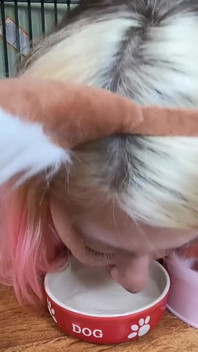 Linda Chica Mascota Bebe De Su Cuenco