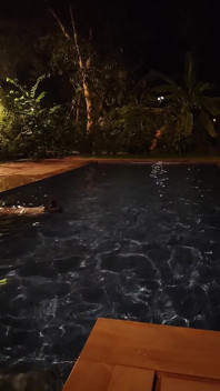 Soție sexy riscă să se fută noaptea în piscina publică