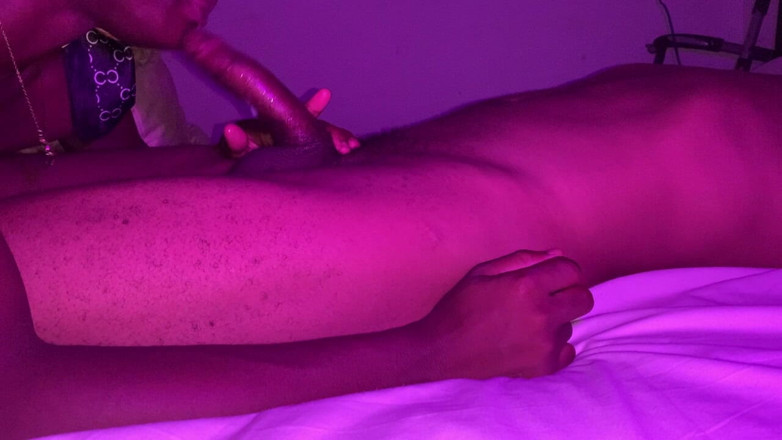 DivaHouz: 펠라