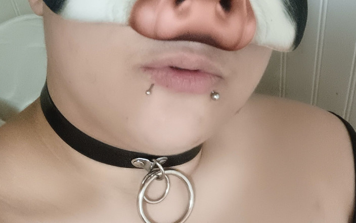 PrinceDez: Paní Prasátko poprvé hodnocení ptáka!