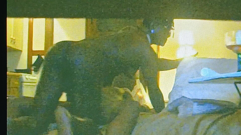 TS freaky MILF: Лизание лизания большого черного члена