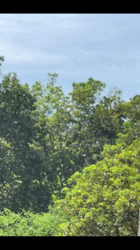 Wild & Milky: Nature Shower Edition Milky Super Power