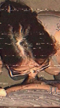 Vhs Tape - Thổi kèn tại nhà và làm tình hoang dã