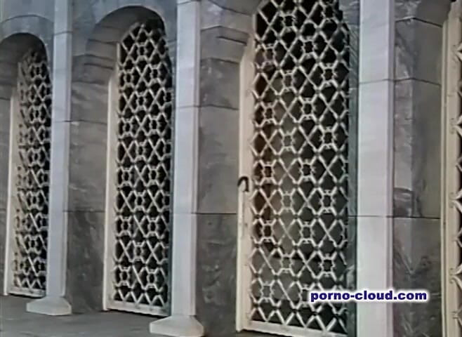 Porno Cloud: Wedding with hairy pussy