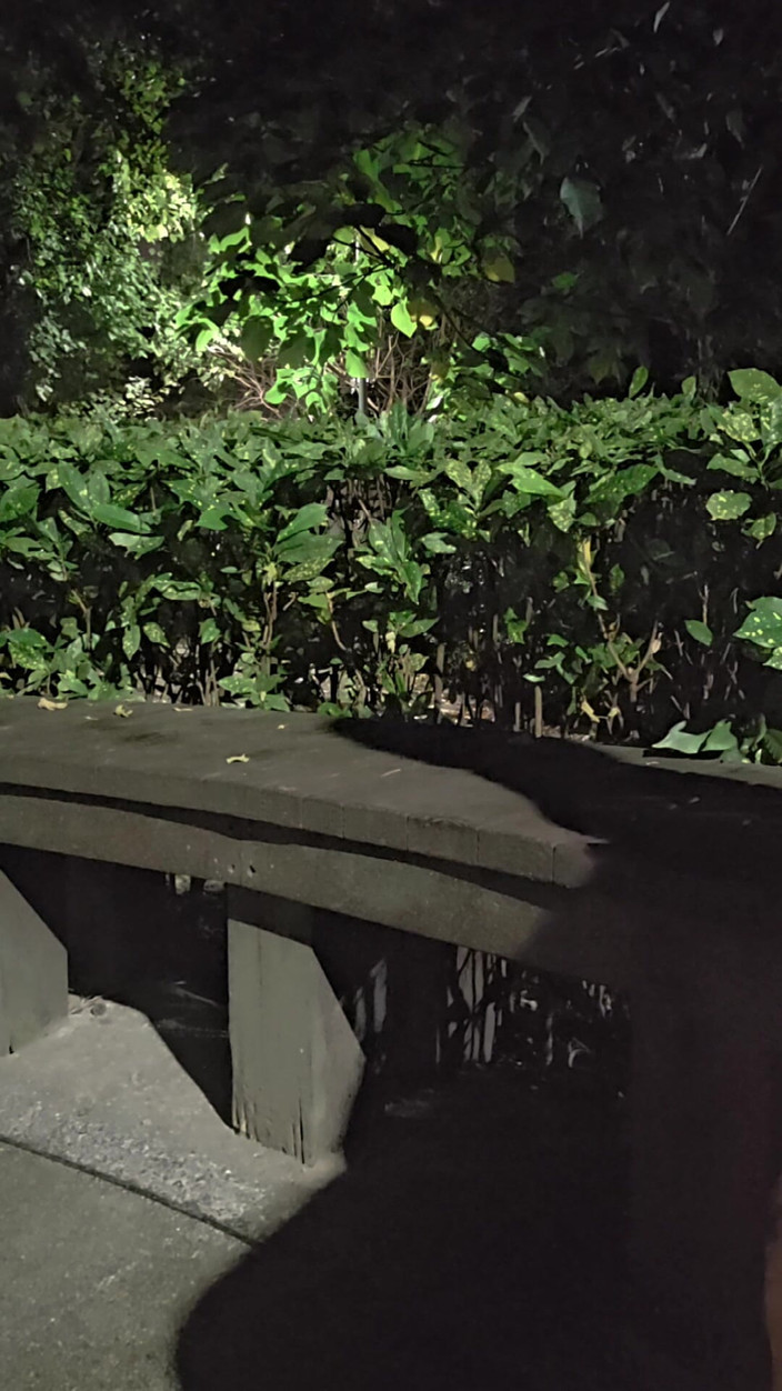 Taiwancdgirl: 伪娘婷萱野外的肛交自慰