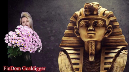 FinDom Goaldigger: VIP loserpaypig 许可