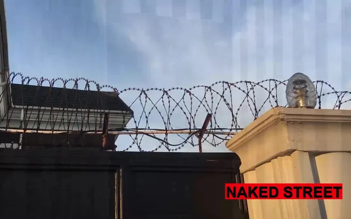 Naked Street: Ebony Clit, Suck on the Street