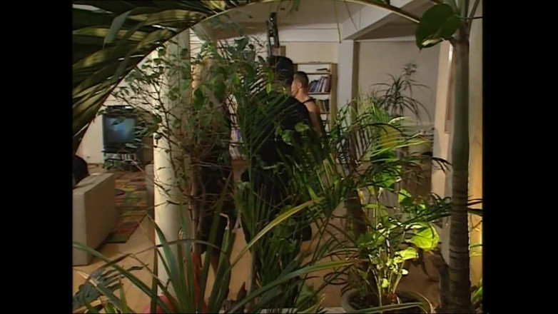 Forte Porno: Parti Berair