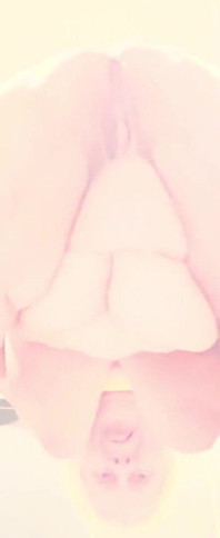 I Wanna Be Your Sex Slave and Do the Things You Crave