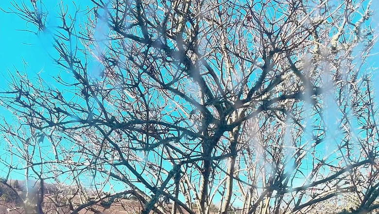 sweethanajapanese: 撒尿肮脏的阴户hana在青少年发型漂亮的娇小女孩亚洲