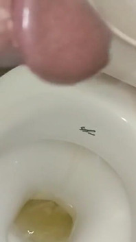 Video_20241109_174946.hd