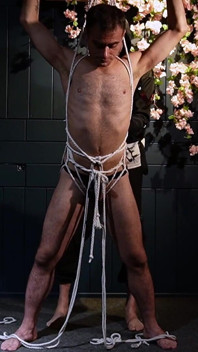 Zeus – Perhambaan Sensual dalam Penggancutan