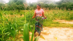 Judithxxx: स्वाद की तलाश में मेरे क्षेत्र की खोज