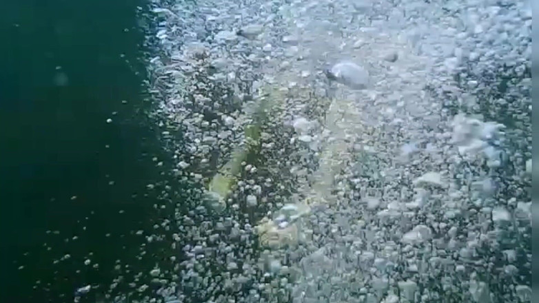 Risky Hairy Couple: Zwemmen en tonen in de zee