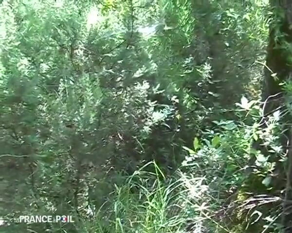 French Family Secrets: A Couple of Open-air Fuckers Watched by a Voyeur.
